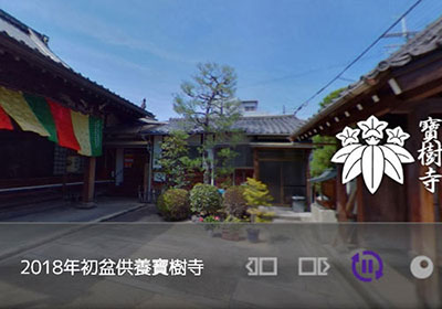 8月17日